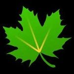 Greenify Donate Logo-compressed