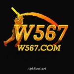 W567 Game