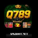 Q789 Game